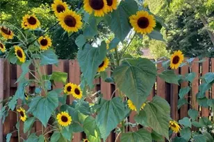 88 W Washington St, Painesville, OH 44077 - Photo 39