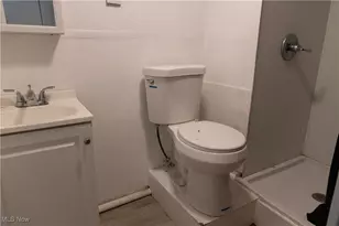 1738 Coit Rd, Loveland, OH 44110 - Photo 25