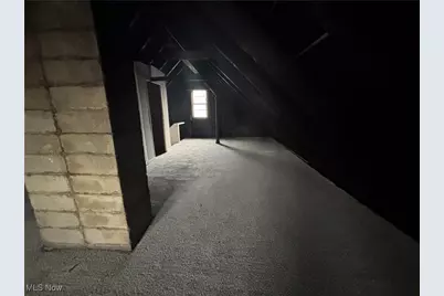 10004 Mount Auburn Avenue, Loveland, OH 44104 - Photo 21