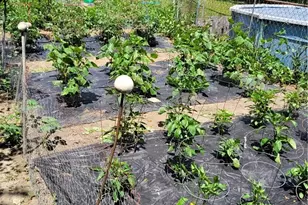 5714 Stickney Ave, Loveland, OH 44144 - Photo 47