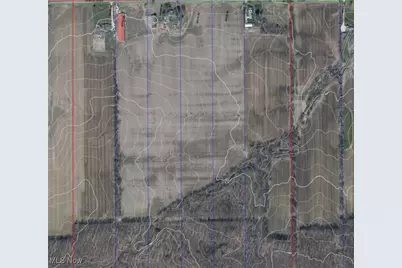 6216 Spieth Road, Medina, OH 44256 - Photo 5