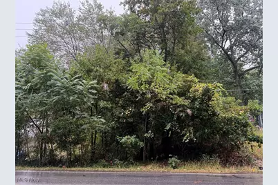 V/L Sanitarium Road, Akron, OH 44312 - Photo 1