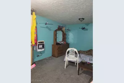 60490 Main Street, Jacobsburg, OH 43933 - Photo 25