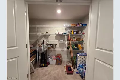 12584 Caribou Court, Columbia Station, OH 44028 - Photo 29