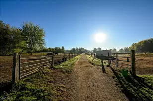 1315 Morning Star Dr, Rock Creek, OH 44084 - Photo 45