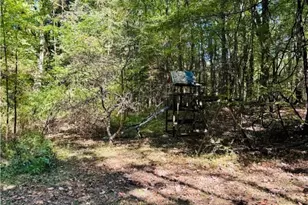 3461 Mabel Ave, Ravenna, OH 44266 - Photo 9