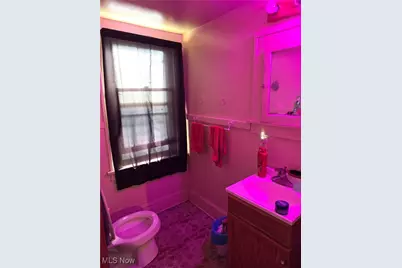 13205 Southview Avenue, Loveland, OH 44120 - Photo 41