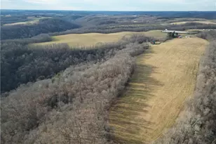 1964 Co Rd 58, Irondale, OH 43932 - Photo 9