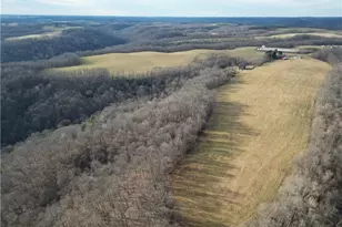 1964 Co Rd 58, Irondale, OH 43932 - Photo 3