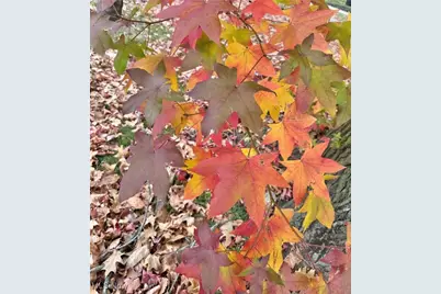 11002 Parkhurst Drive, Loveland, OH 44111 - Photo 49