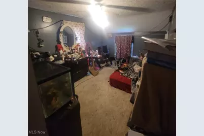 534 N Buckeye Street, Wooster, OH 44691 - Photo 13