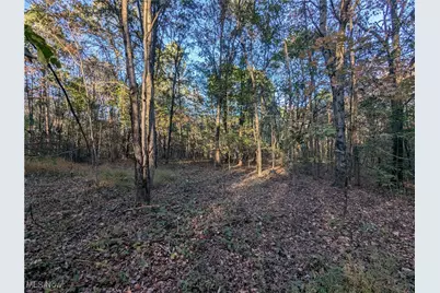 Forbes Road, Wellsville, OH 43968 - Photo 33