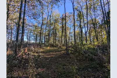 Forbes Road, Wellsville, OH 43968 - Photo 19