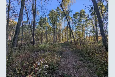 Forbes Road, Wellsville, OH 43968 - Photo 35