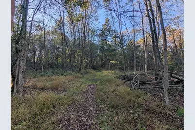 Forbes Road, Wellsville, OH 43968 - Photo 25