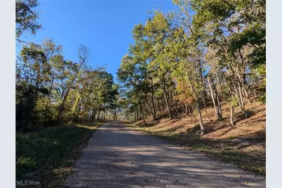 Forbes Road, Wellsville, OH 43968 - Photo 21