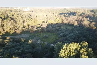 Forbes Road, Wellsville, OH 43968 - Photo 3