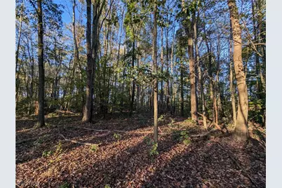 Forbes Road, Wellsville, OH 43968 - Photo 39