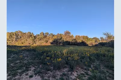 Forbes Road, Wellsville, OH 43968 - Photo 41