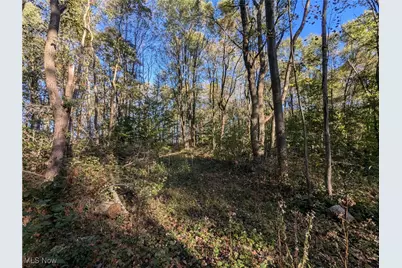 Forbes Road, Wellsville, OH 43968 - Photo 13