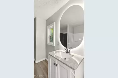 117 Myers Avenue, Akron, OH 44305 - Photo 27