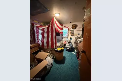 2302 Walter Main Road, Geneva, OH 44041 - Photo 17