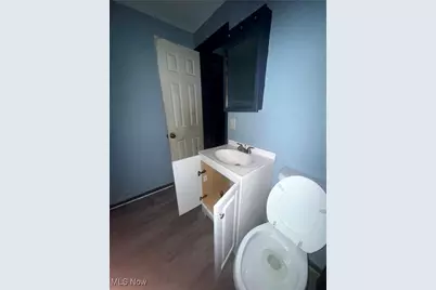 5806 Fleet Avenue, Loveland, OH 44105 - Photo 43