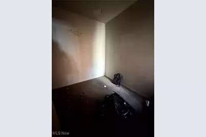 5806 Fleet Avenue, Loveland, OH 44105 - Photo 25