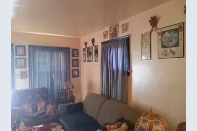 7528 Ottawa Road, Loveland, OH 44105 - Photo 11