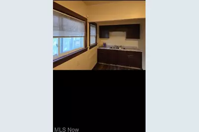 3409 E 110th Street, Loveland, OH 44104 - Photo 15