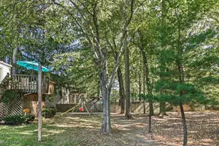 10265 Beaver Trail, Aurora, OH 44202 - Photo 41