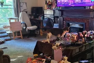 242 W Highland Ave, Ravenna, OH 44266 - Photo 17