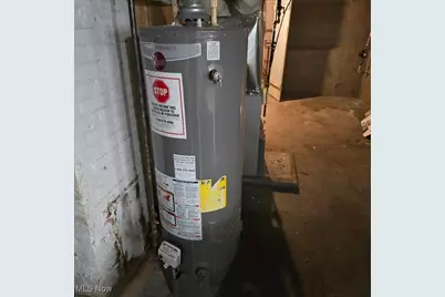 12718 Holborn Avenue, Loveland, OH 44105 - Photo 9