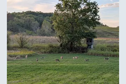 Pigeon Gap Road, Cambridge, OH 43725 - Photo 1