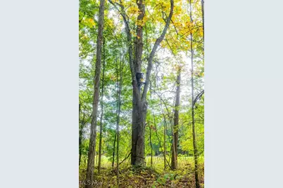 Pigeon Gap Road, Cambridge, OH 43725 - Photo 27
