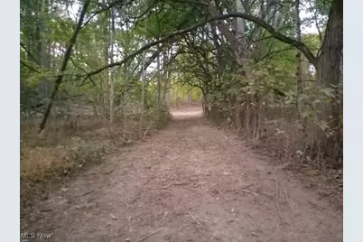 8123 Vandemark Road, Lodi, OH 44254 - Photo 7