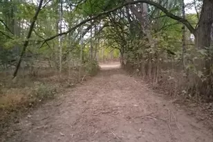 8123 Vandemark Rd, Lodi, OH 44254 - Photo 7