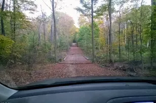 8123 Vandemark Rd, Lodi, OH 44254 - Photo 9