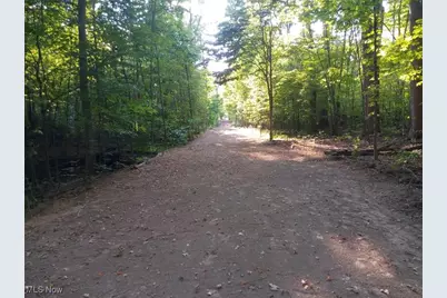 8123 Vandemark Road, Lodi, OH 44254 - Photo 5