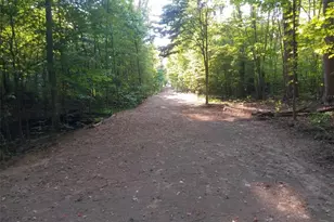 8123 Vandemark Rd, Lodi, OH 44254 - Photo 5