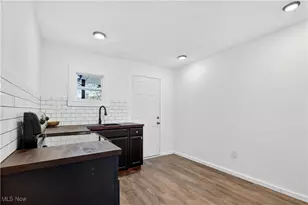 10414 Nelson Ave, Loveland, OH 44105 - Photo 3