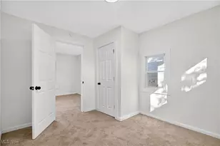 10414 Nelson Ave, Loveland, OH 44105 - Photo 9