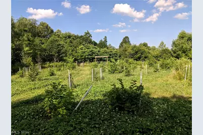 100 Cottage Grove Drive, Youngstown, OH 44505 - Photo 15