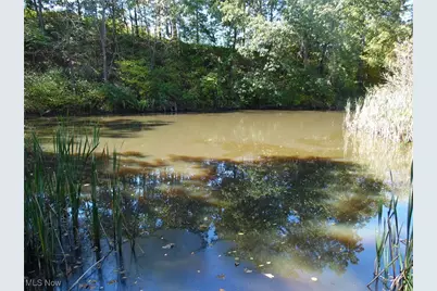 627 Strahler Road, Waterford, OH 45786 - Photo 31