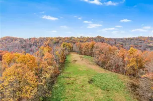 814 Wells Run Rd, Crown City, OH 45623 - Photo 27