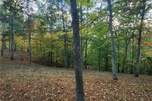 814 Wells Run Rd, Crown City, OH 45623 - Photo 25