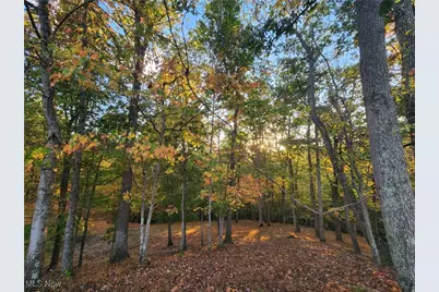 814 Wells Run Road, Crown City, OH 45623 - Photo 23