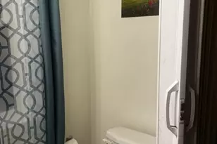 1156 Quilliams Rd, Loveland, OH 44121 - Photo 9