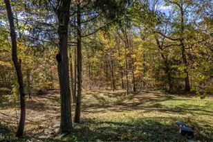 300 River Rd, Hinckley, OH 44233 - Photo 45