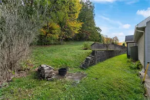 9732 Erie Ave SW, Beach City, OH 44608 - Photo 17